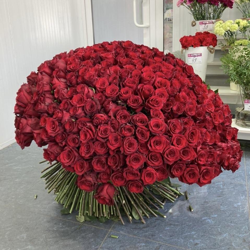 Букеты из красных роз 80 см (Эквадор) [код товара  206040]