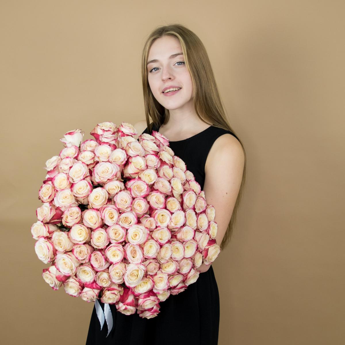 Розы красно-белые 75 шт 40 см (Эквадор) артикул  90610