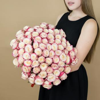 Розы красно-белые 75 шт 40 см (Эквадор) артикул  90610
