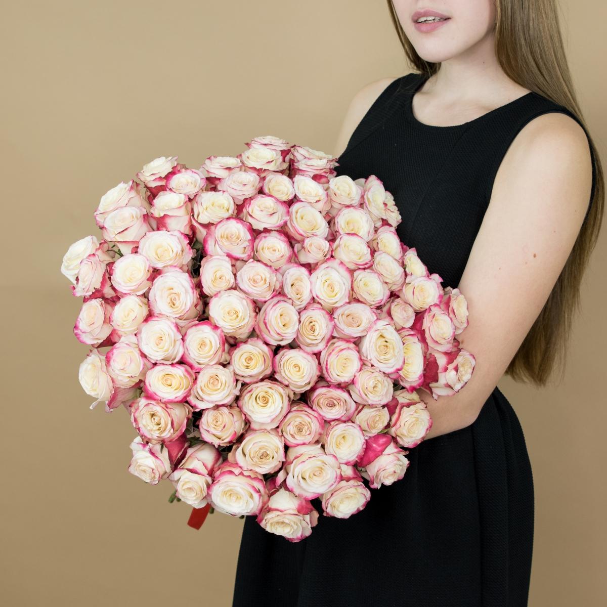 Розы красно-белые 101 шт. (40 см) код: 90780