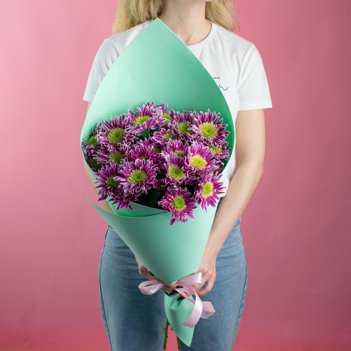 Хризантема фиолетовые (5 штук)