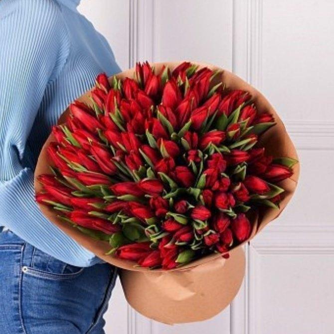 Красные тюльпаны 101 шт код: 147730